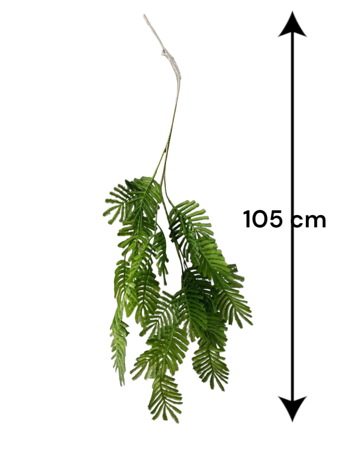 Rama Colgante Acacia Café/Verde 1.05mts