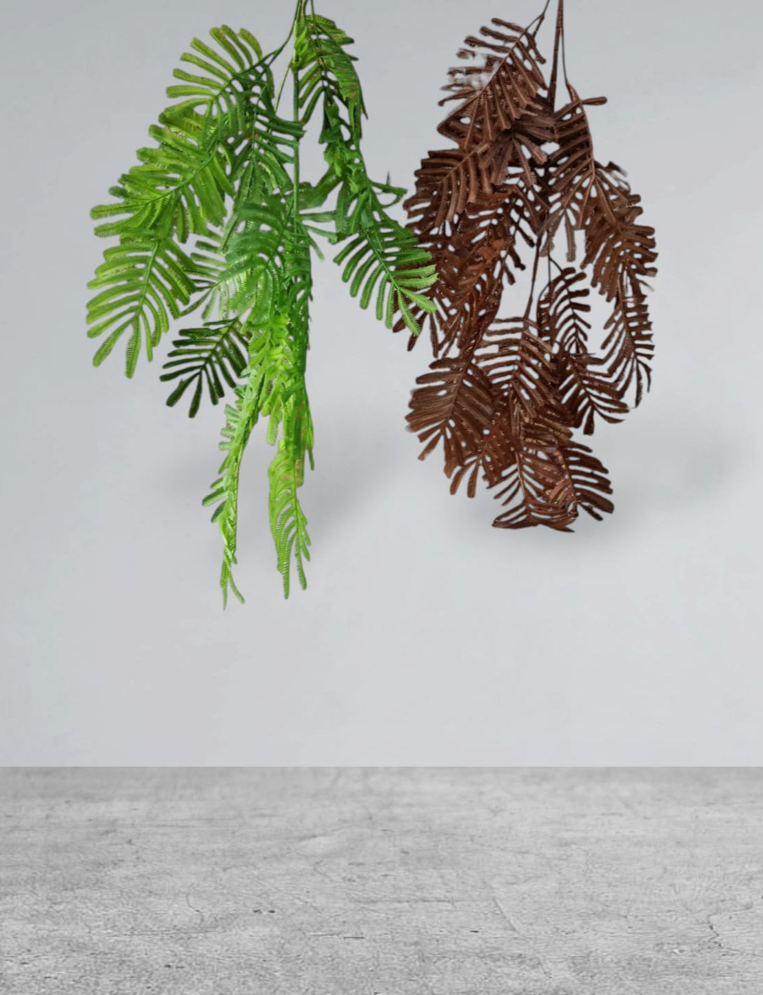 Rama Colgante Acacia Café/Verde 1.05mts