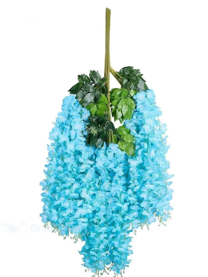 Docena de Glicinia Wisteria Azul 80cm