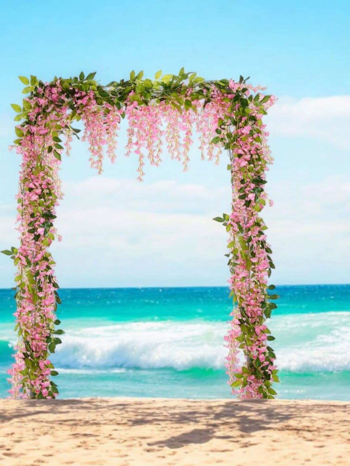 Docena de Glicinia Wisteria Rosa 80cm