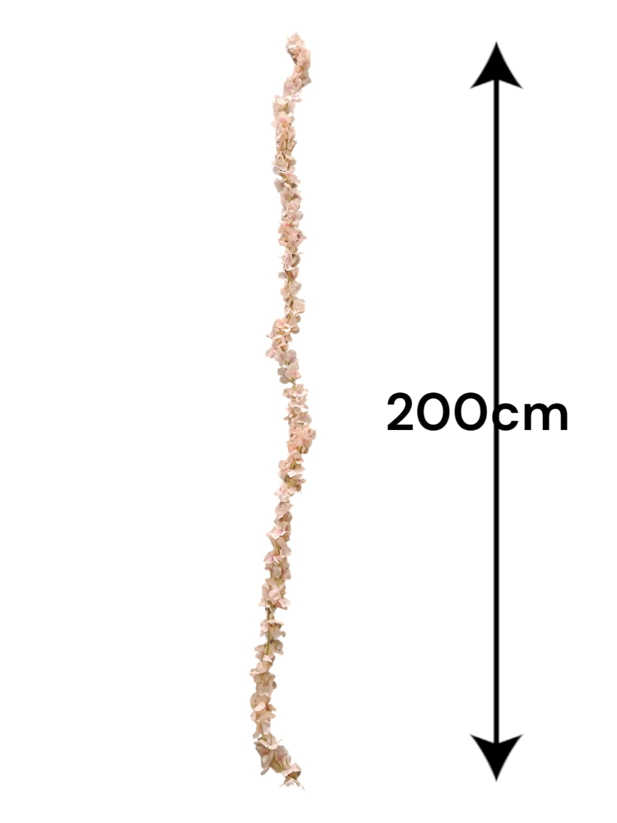 Enredadera Sencilla de Flores 2mts