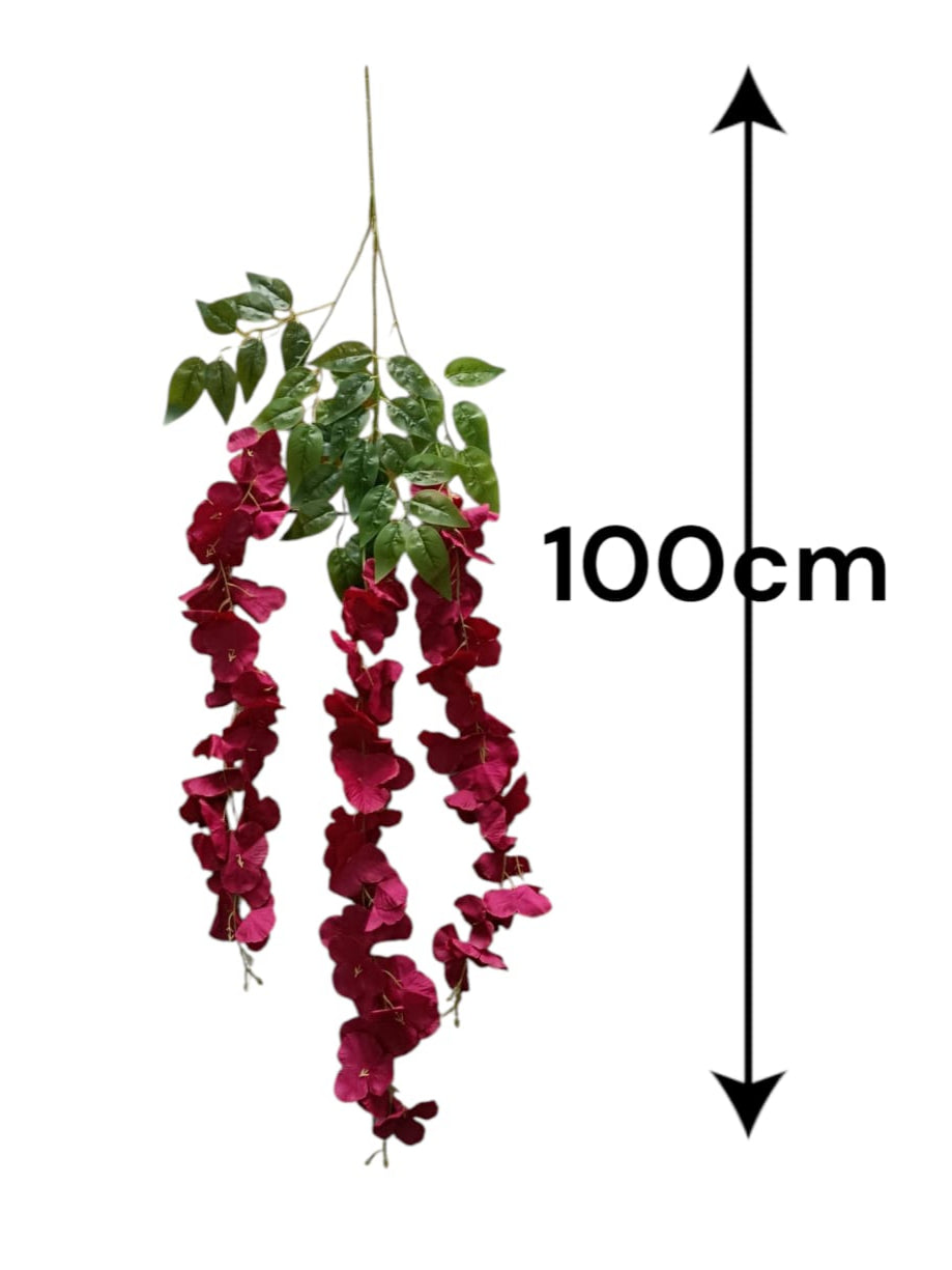 Wisteria Premium xUnidad Variedad Colores 1mts