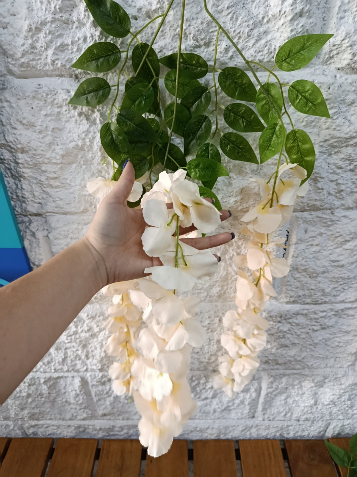 Wisteria Premium xUnidad Variedad Colores 1mts