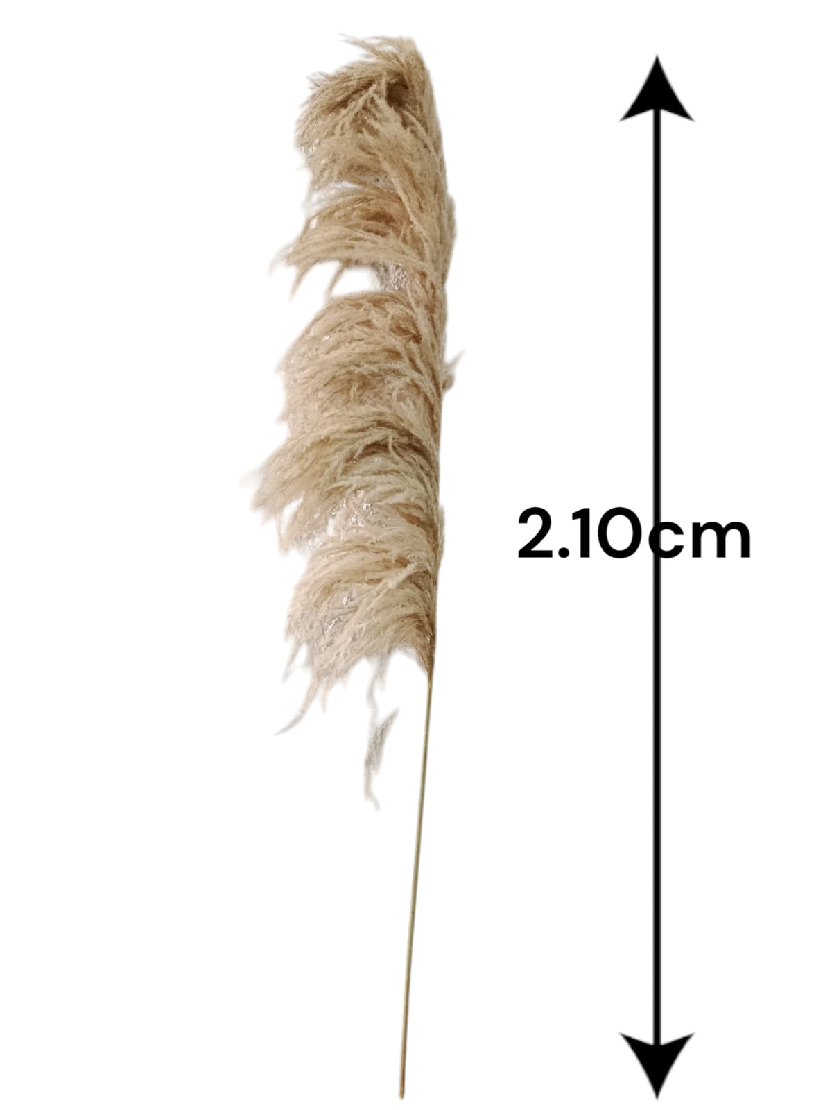 Pampa Grande Real 2.10mts