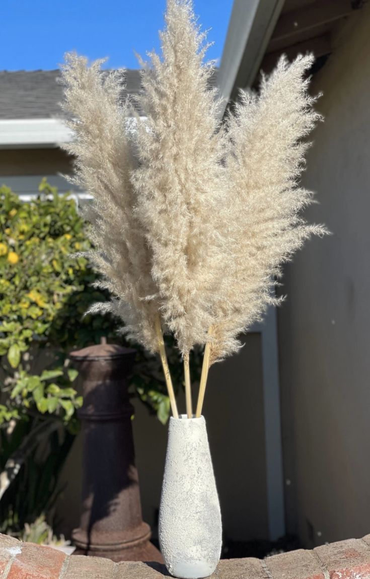 Pampa Grande Real 2.10mts