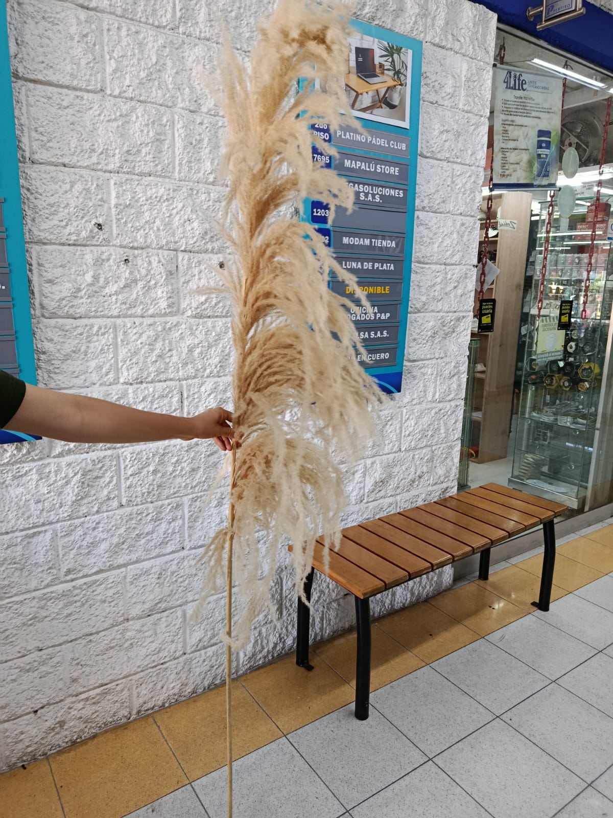 Pampa Grande Real 2.10mts