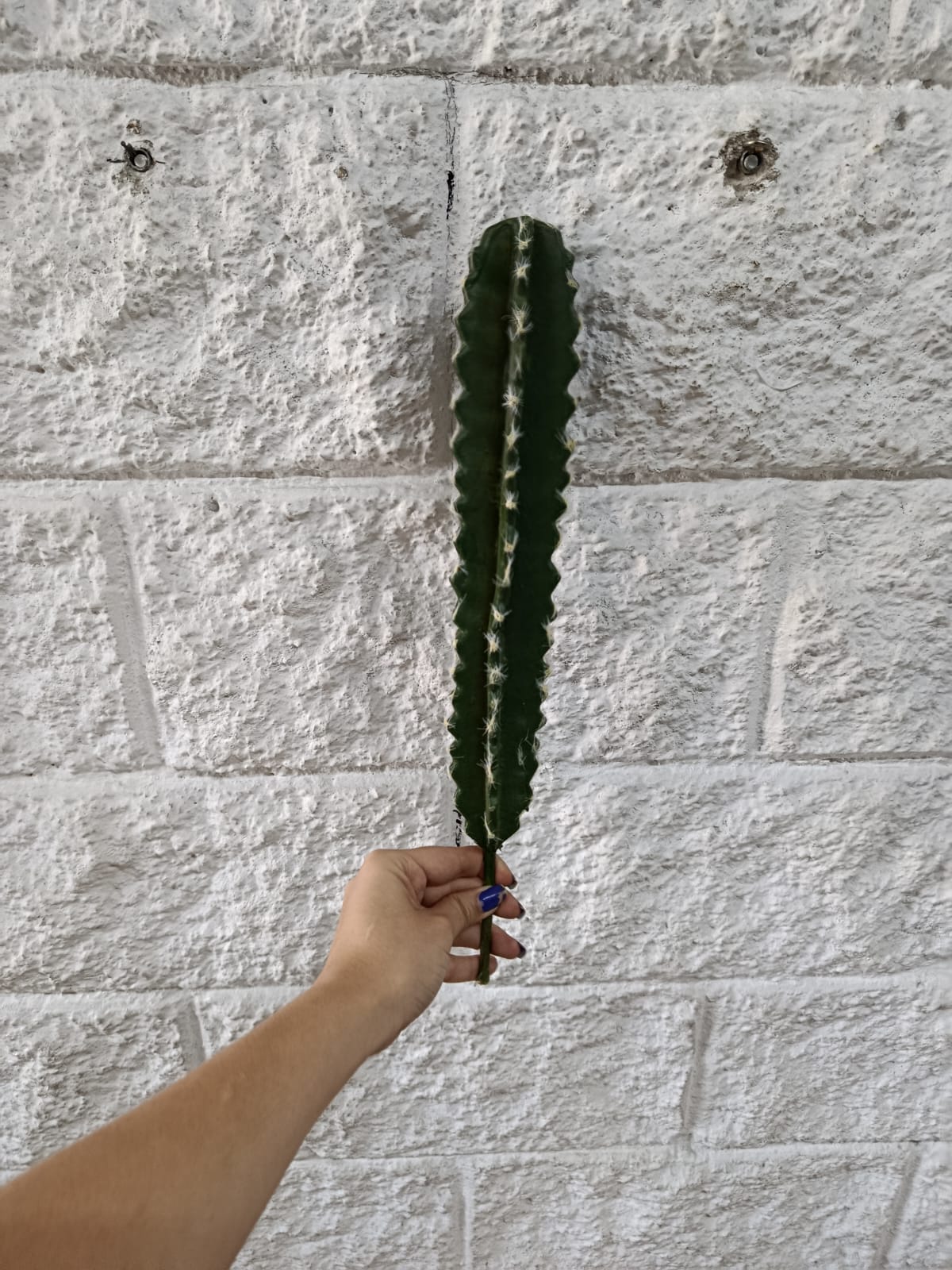 Cactus Artificial para Matera 40cm