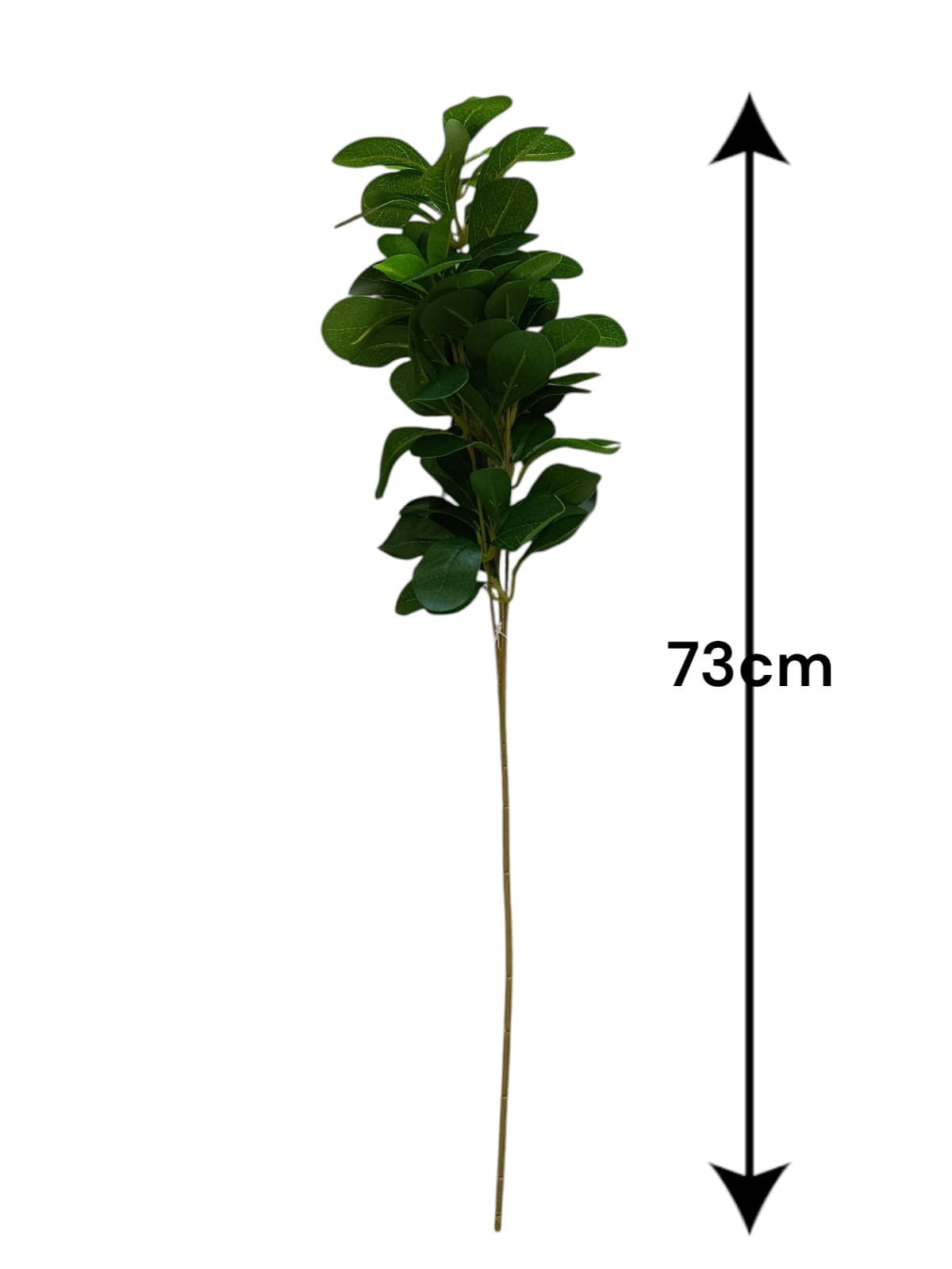 Rama Artificial Tobira 73cm