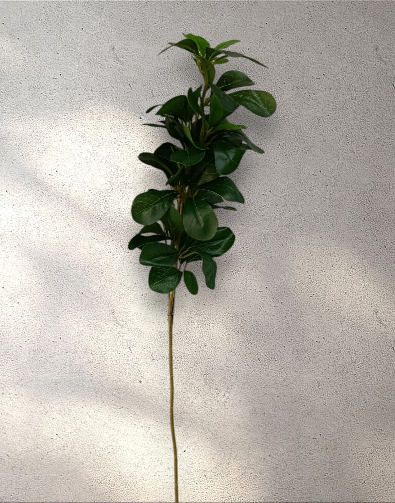 Rama Artificial Tobira 73cm