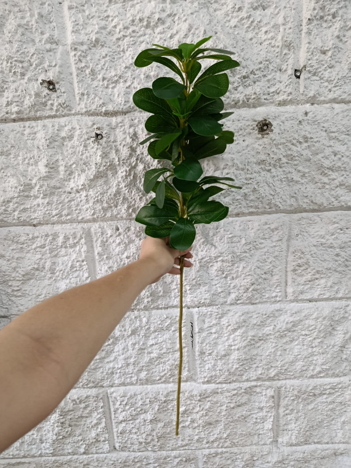 Rama Artificial Tobira 73cm