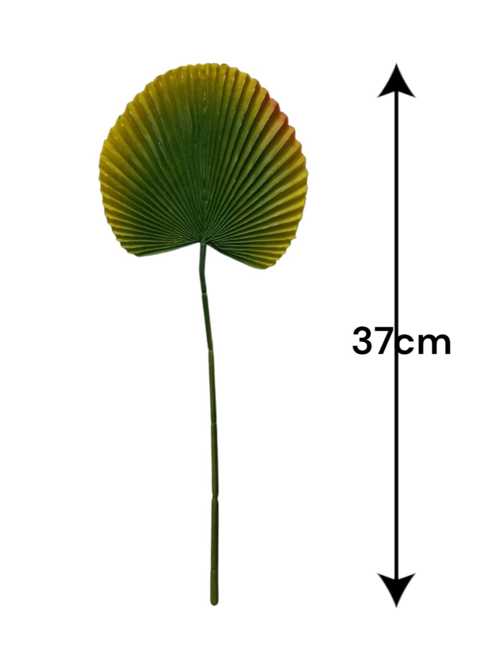 Hoja de Abanico Artificial Latex 37cm