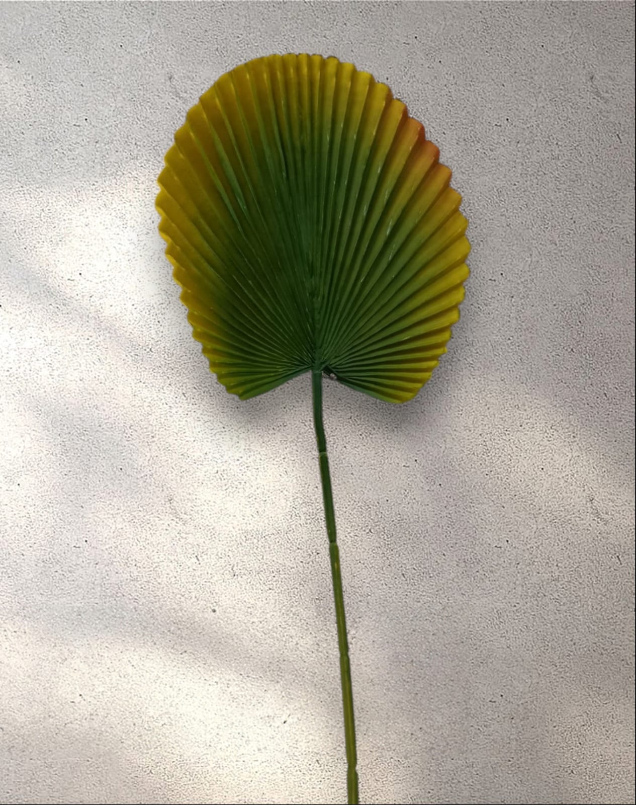 Hoja de Abanico Artificial Latex 37cm