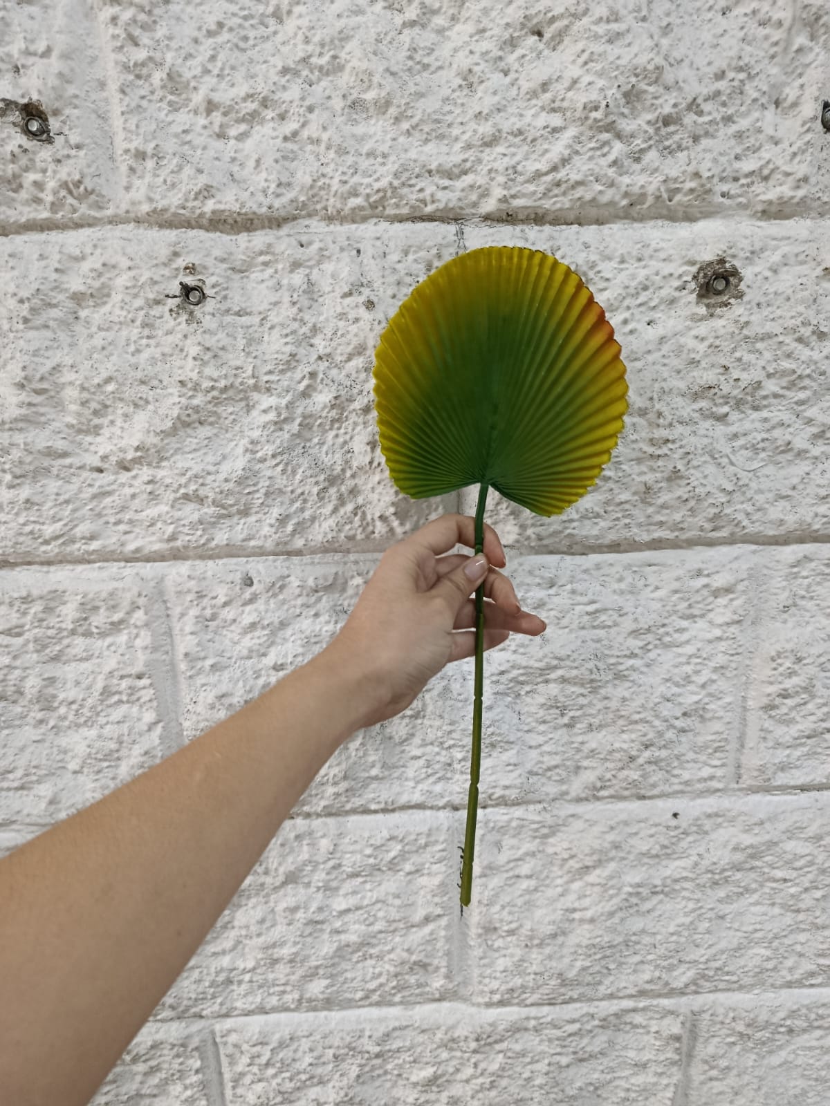 Hoja de Abanico Artificial Latex 37cm