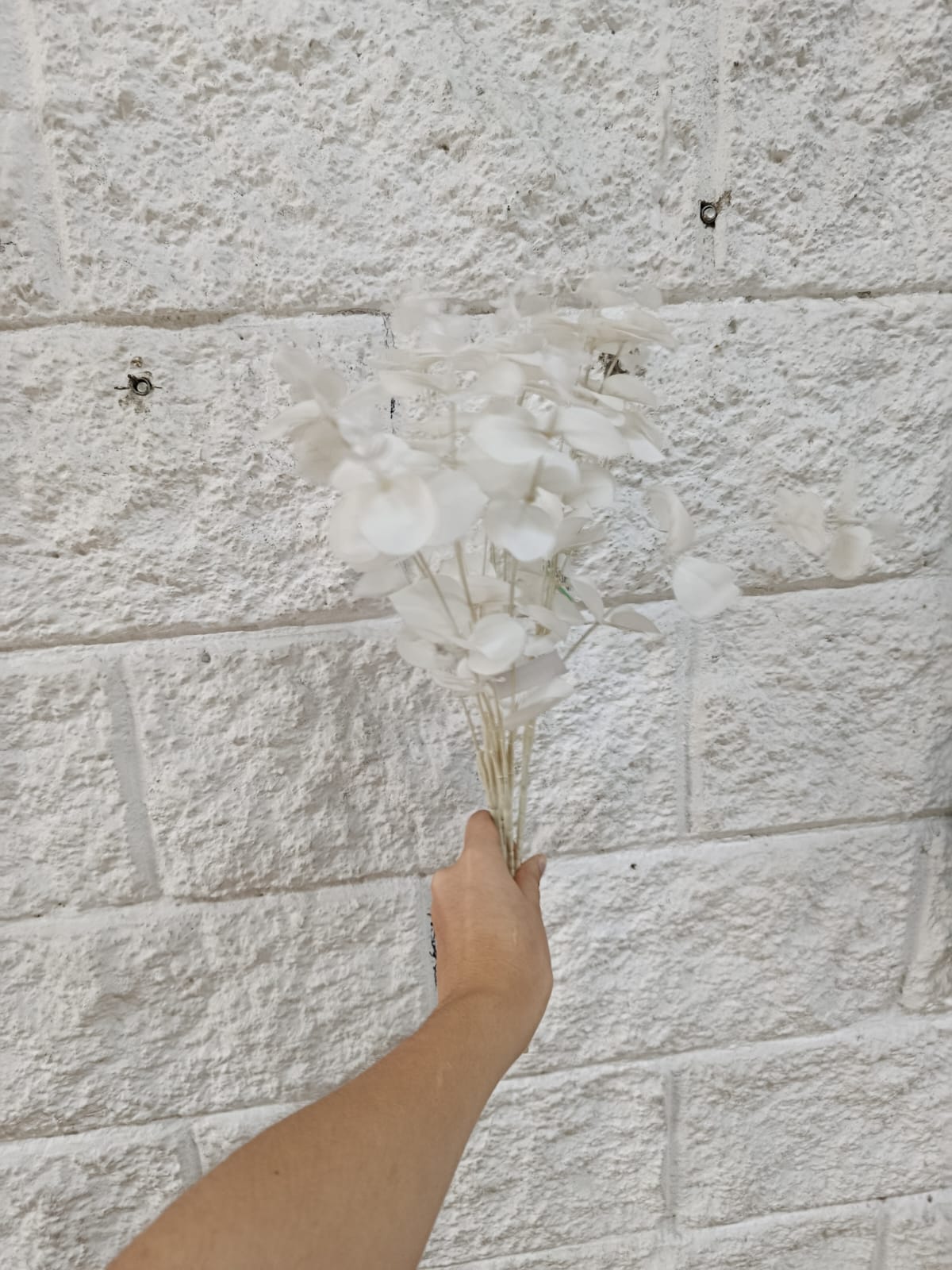 Rama Eucalipto Blanco Realista Artificial 46cm