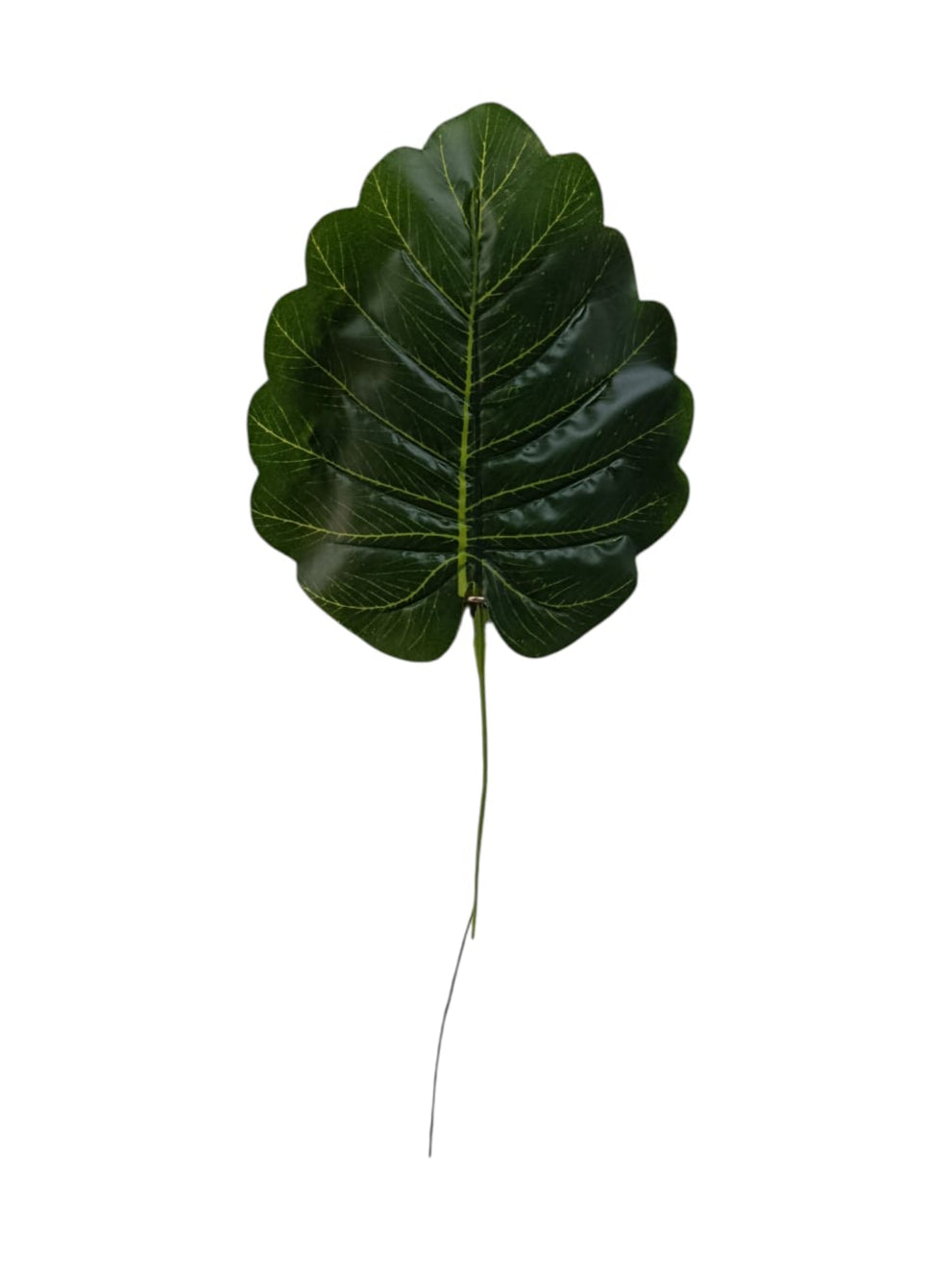 Hoja Alocasia Plumbea Artificial 40cm
