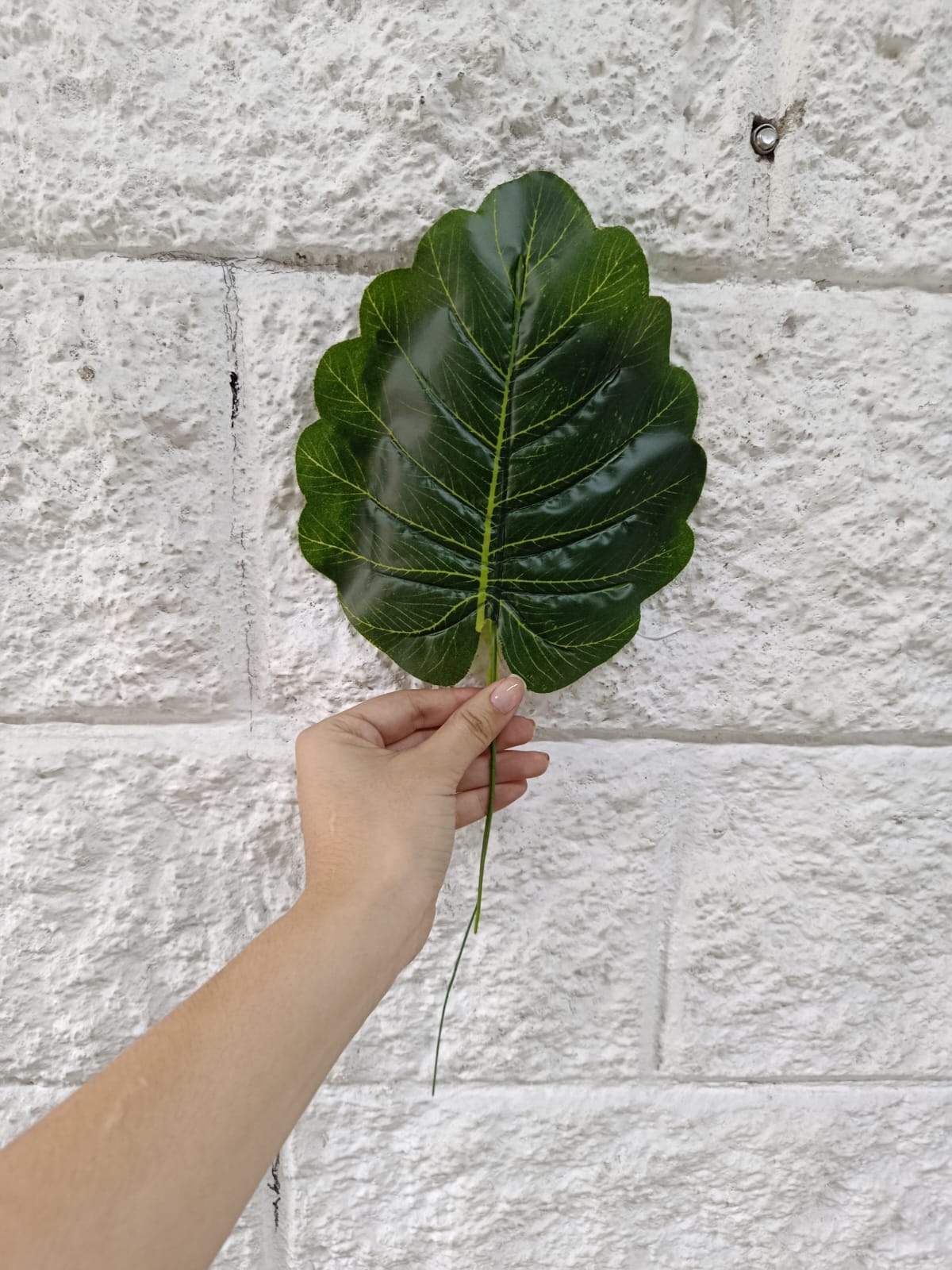 Hoja Alocasia Plumbea Artificial 40cm