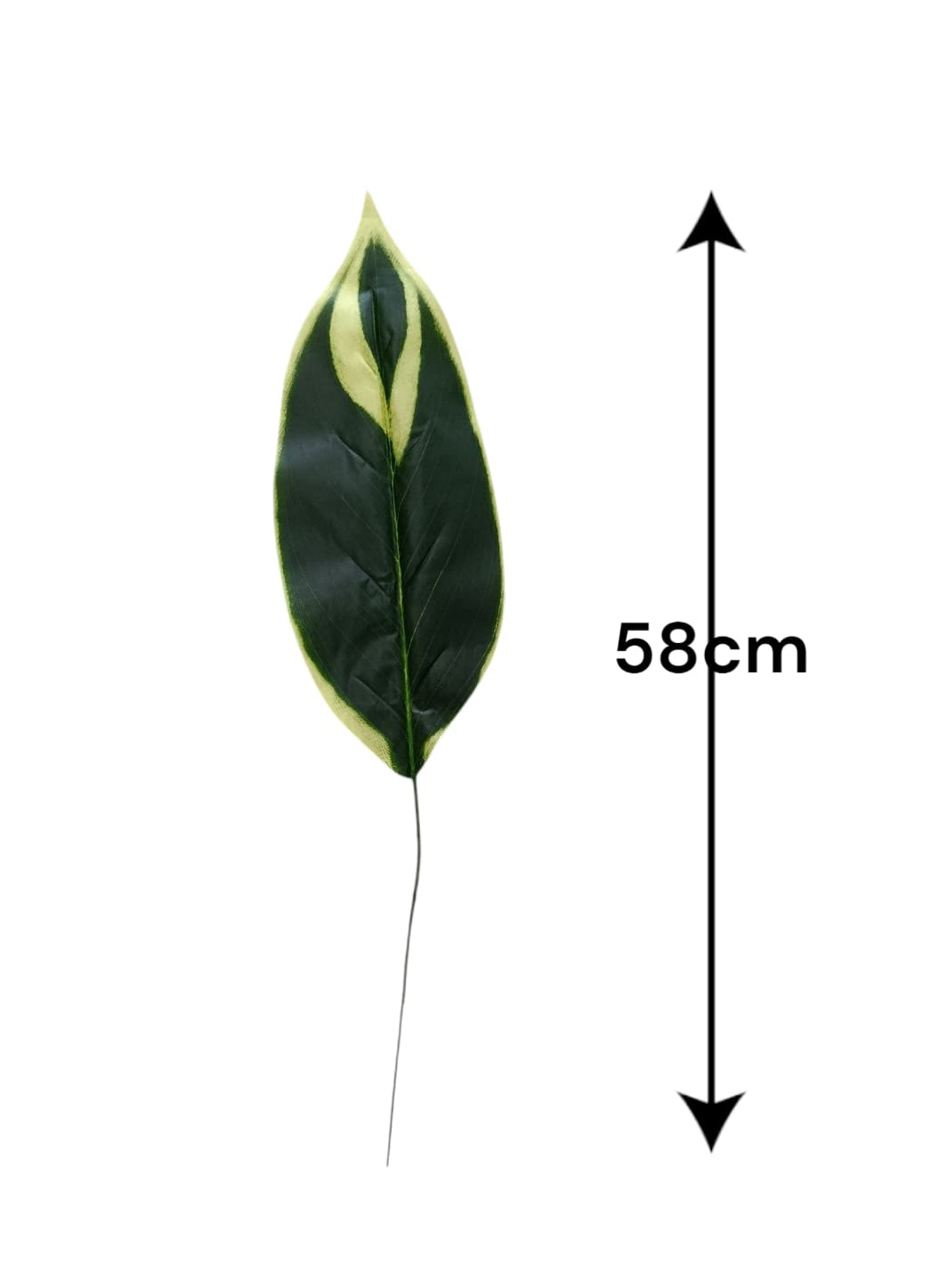 Hoja Alargada Punta Amarilla 58cm