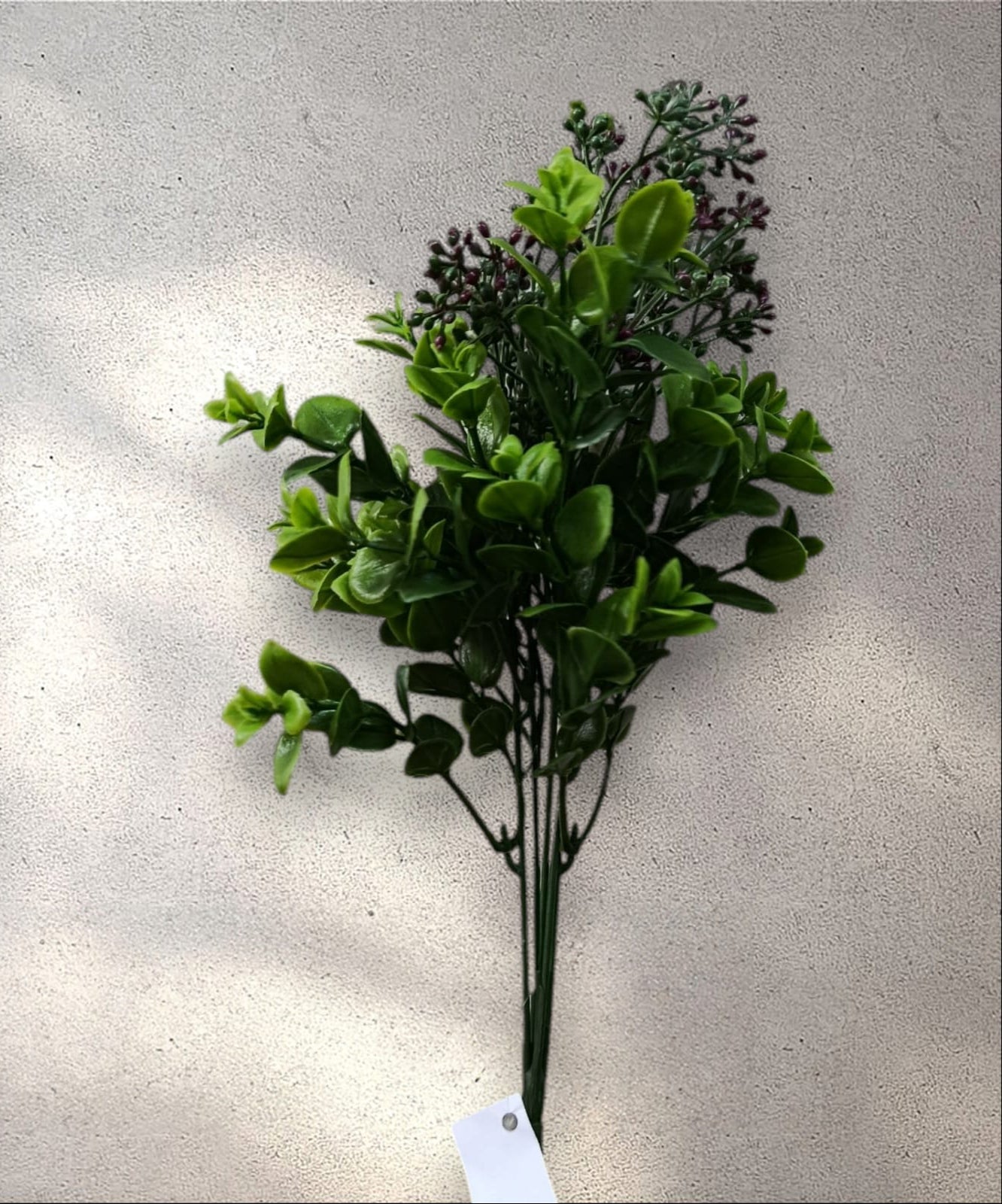 Follaje General Kalanchoe Blossfeldiana 33cm