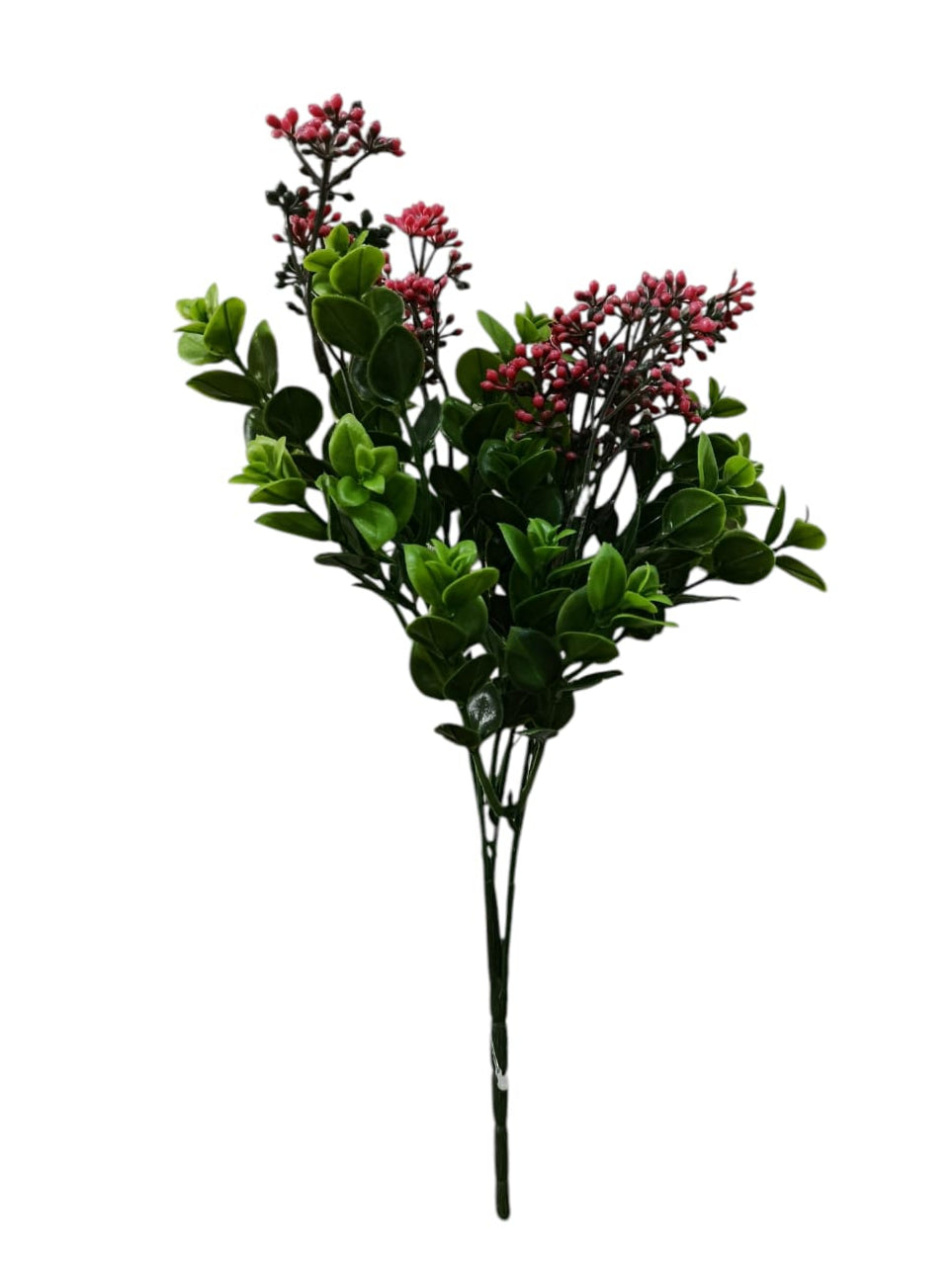 Follaje General Kalanchoe Blossfeldiana 33cm