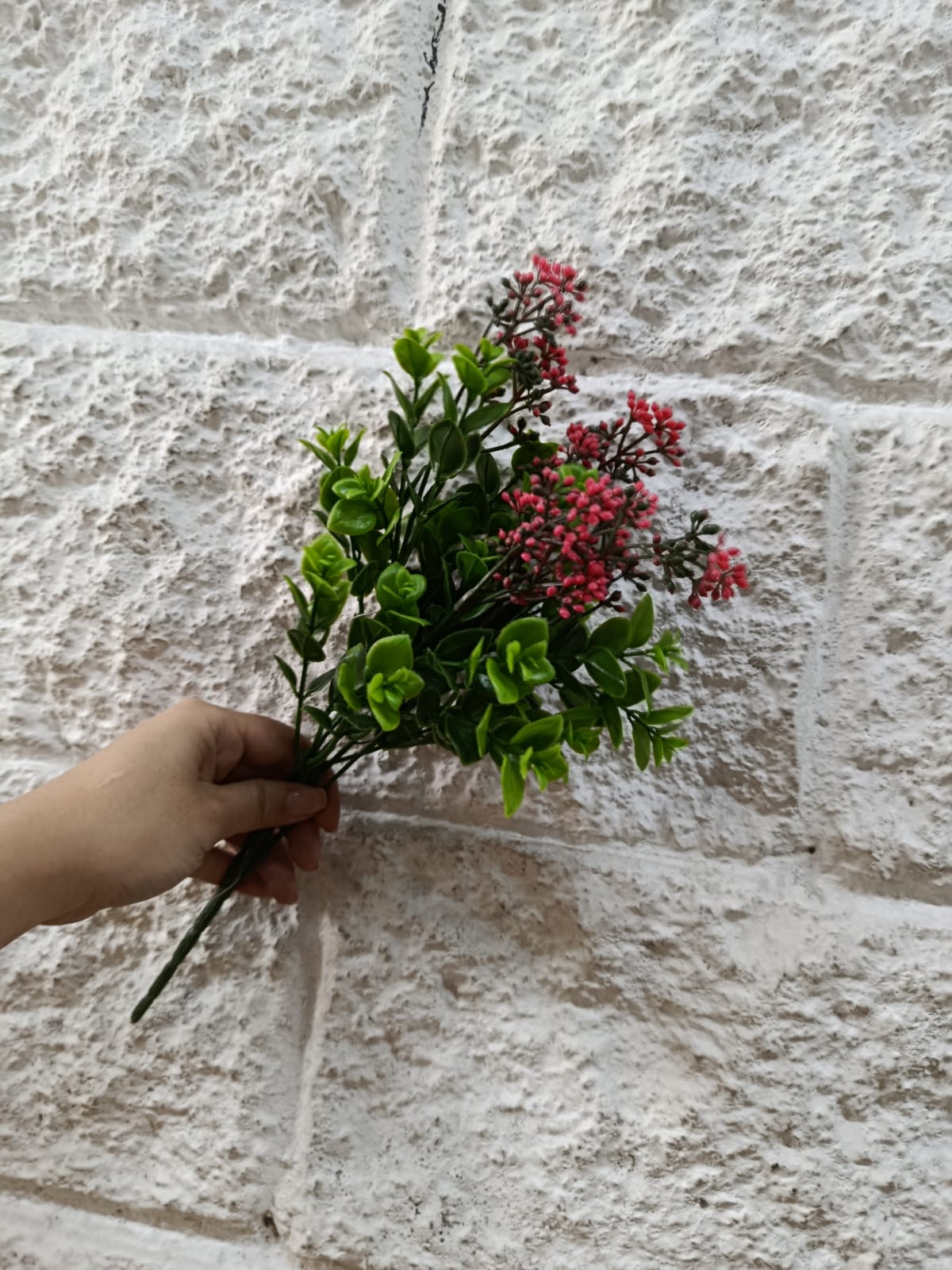 Follaje General Kalanchoe Blossfeldiana 33cm