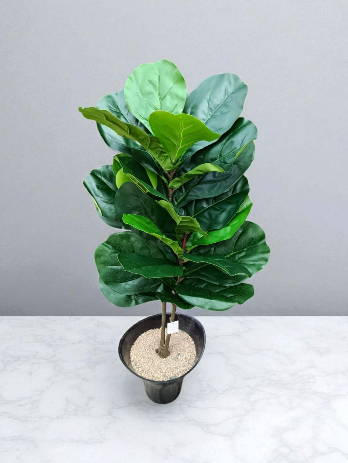 Planta Ficus Lyrata Artificial 1mts