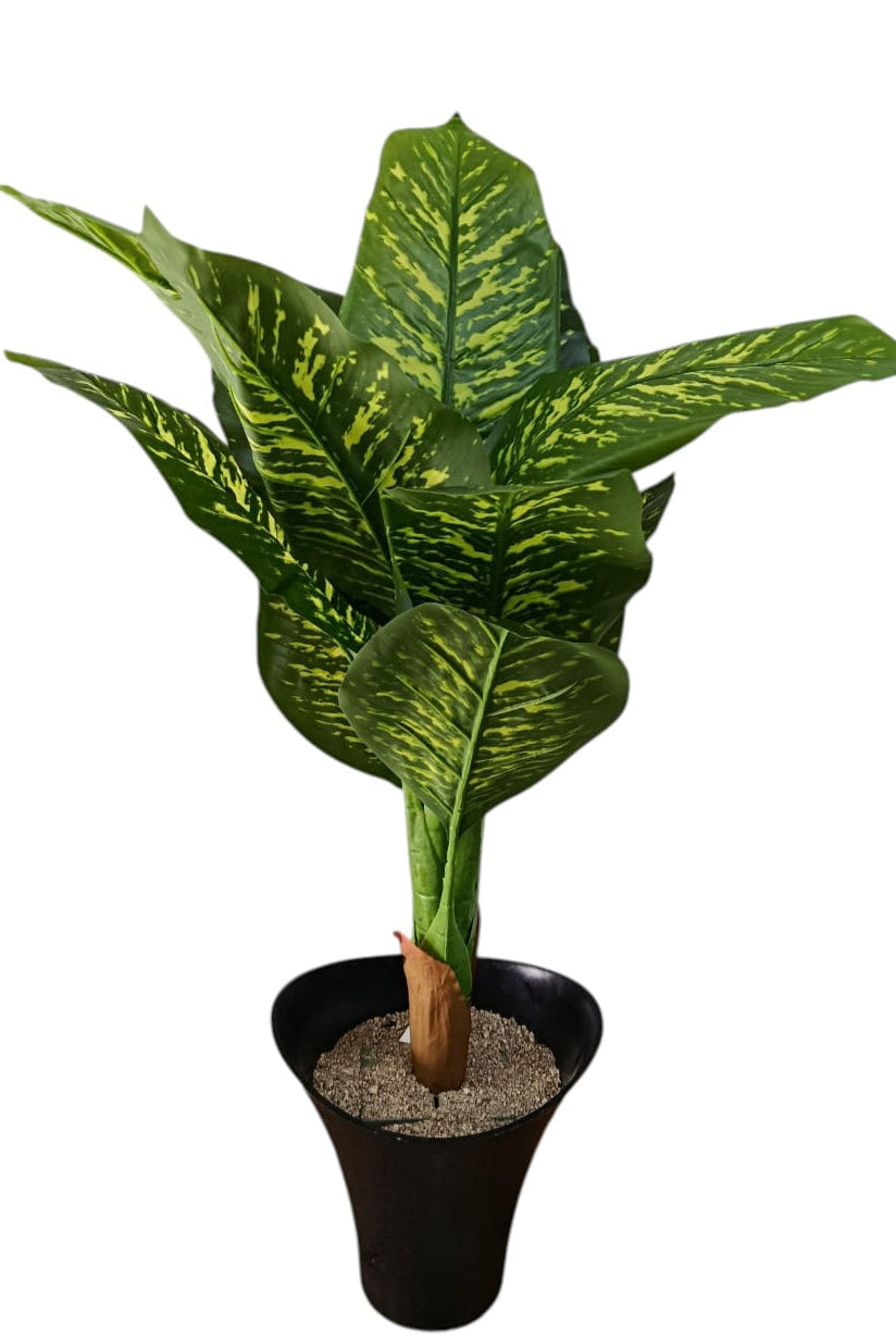 Planta Dieffenbachia Seguine Artificial 85cm