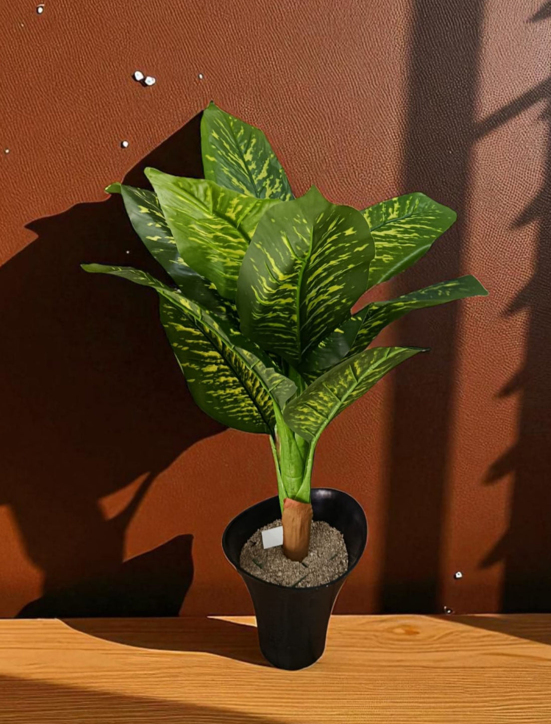 Planta Dieffenbachia Seguine Artificial 85cm