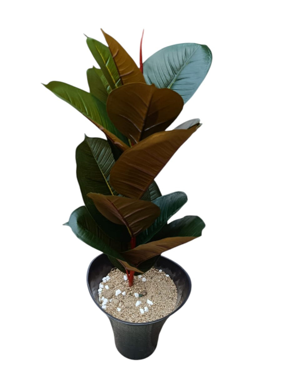 Planta Ficus Elástica Artificial 80cm