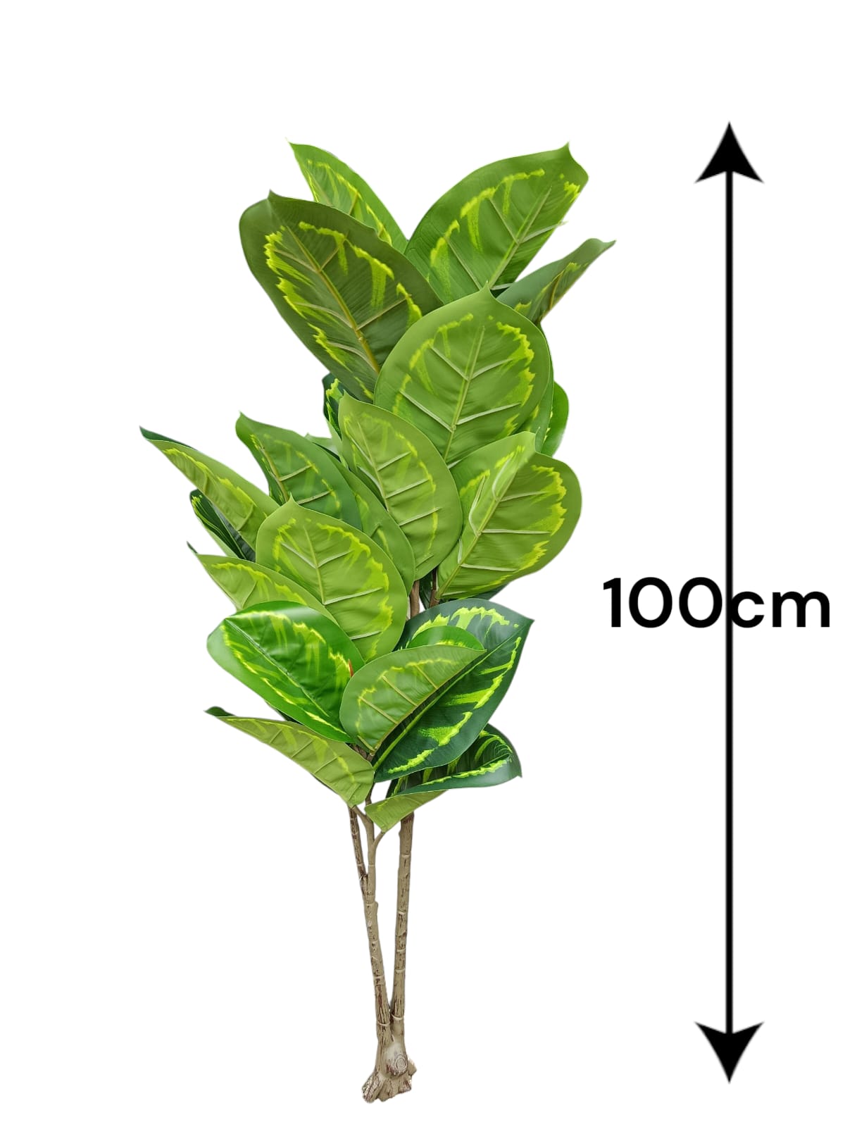 Planta Artificial Diefenbaquia 1mts