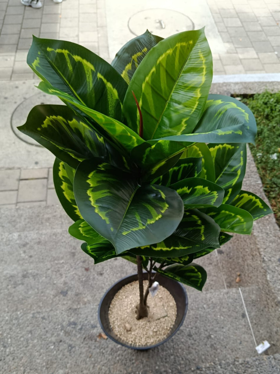 Planta Artificial Diefenbaquia 1mts