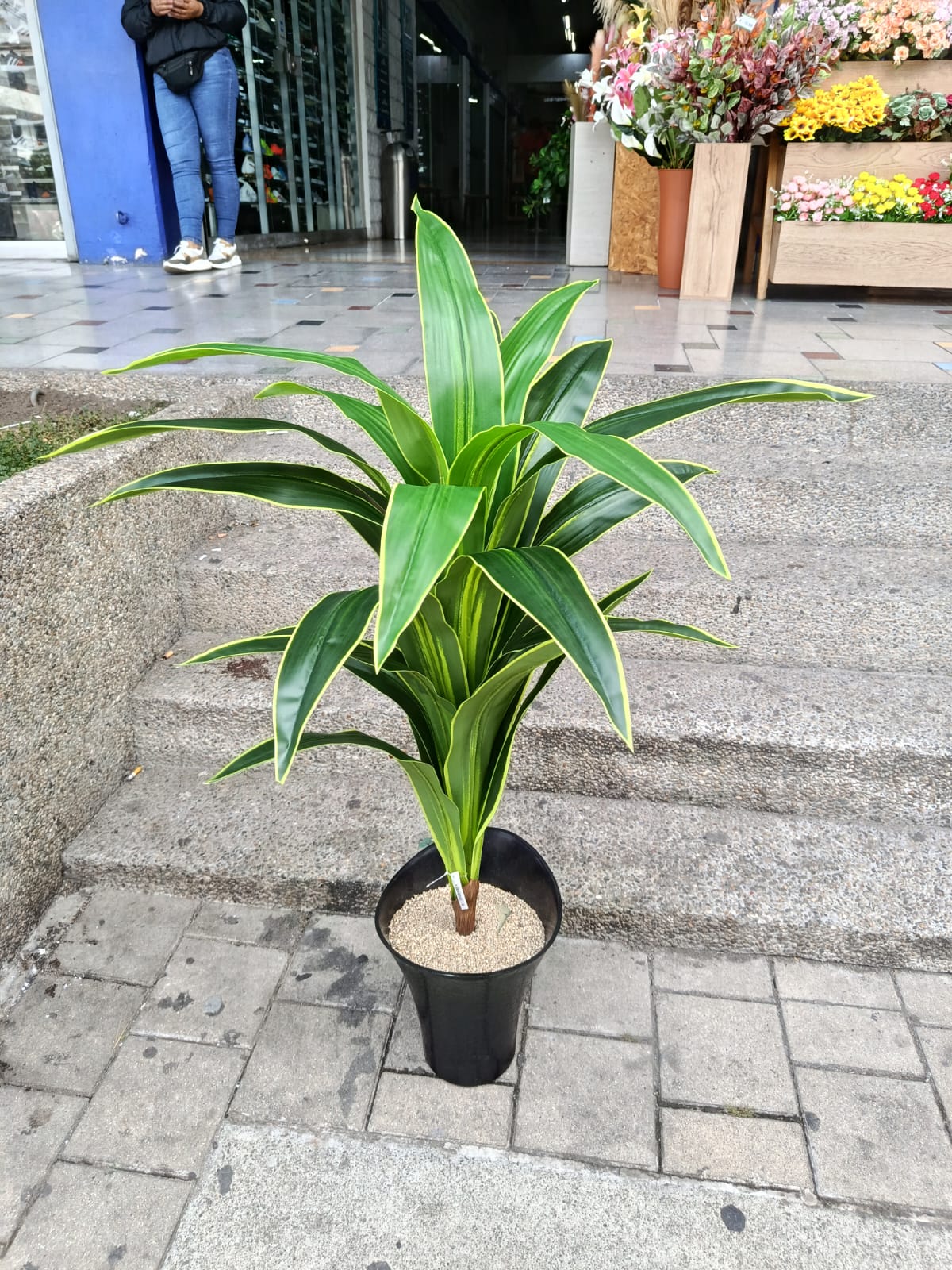Planta Dracaena Fragans Artificial 1mts