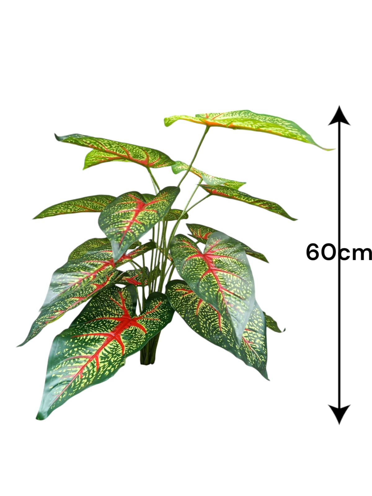 Planta Caladium Bicolor Artificial 60cm