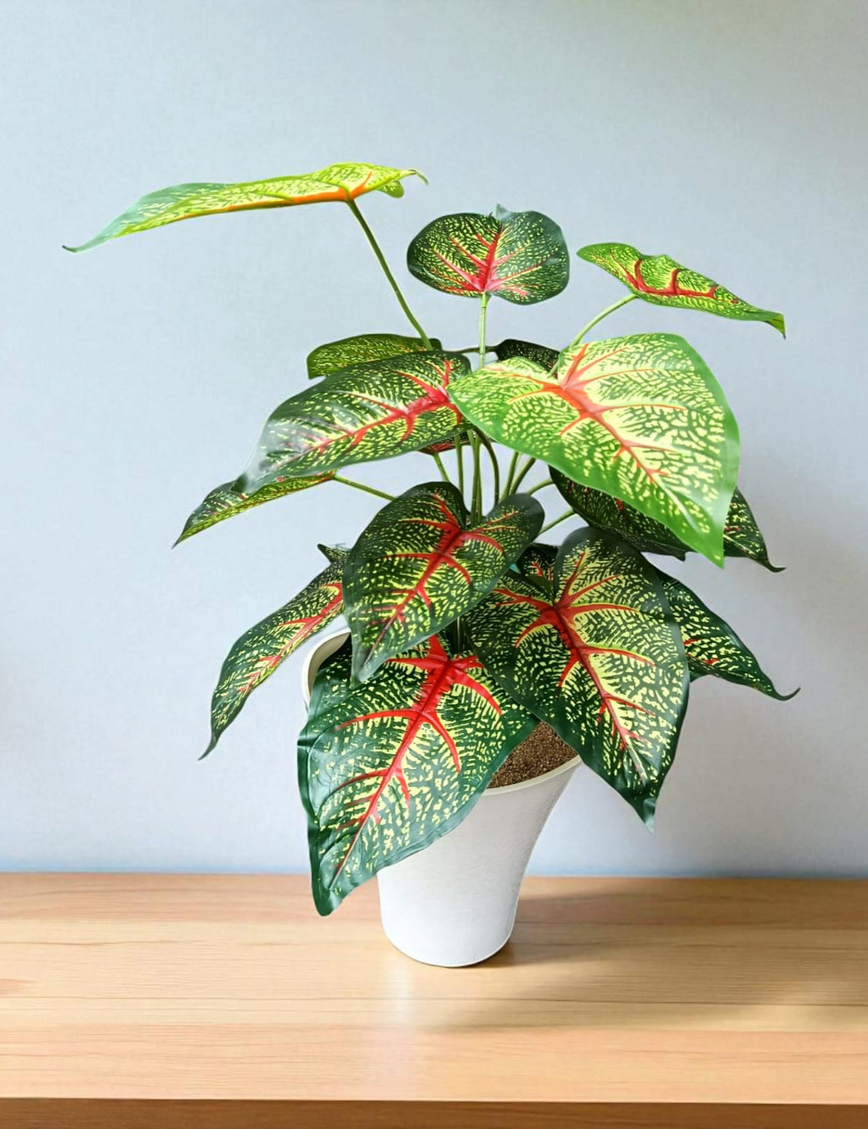 Planta Caladium Bicolor Artificial 60cm