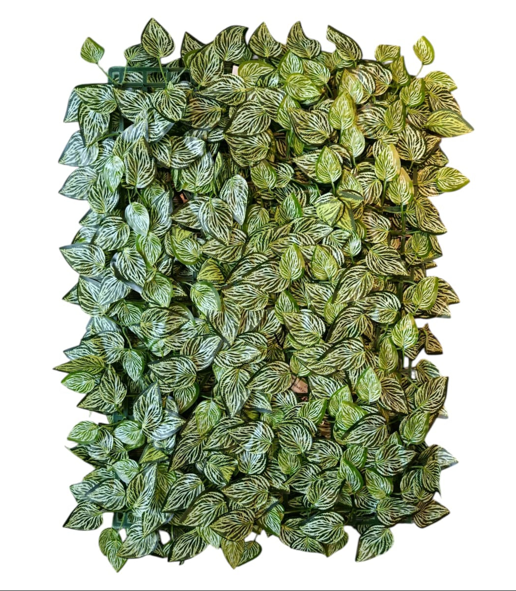 Jardin Vertical 60x40cm Hojas Calathea