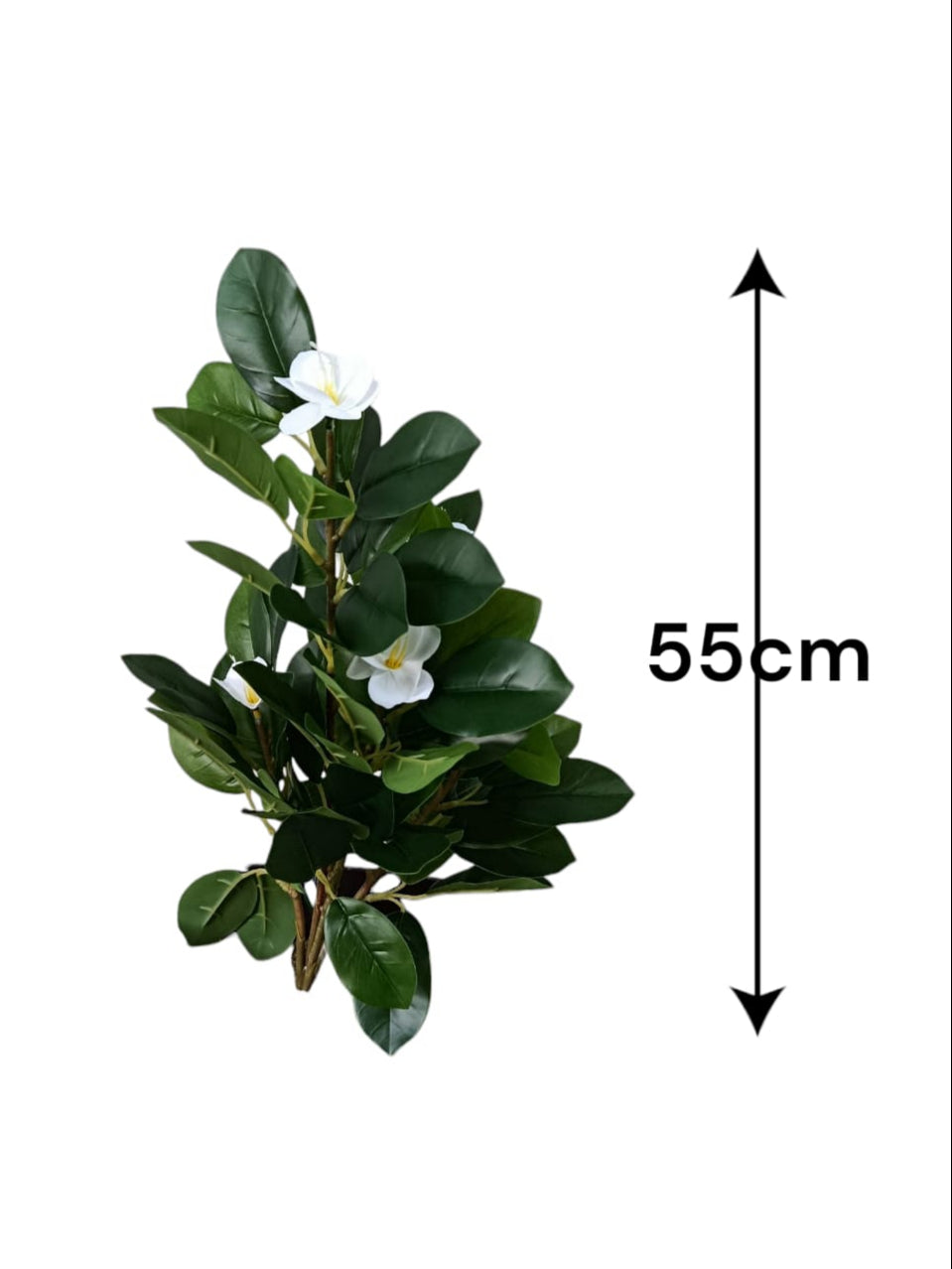 Planta Magnolia Blanca Artificial 55cm