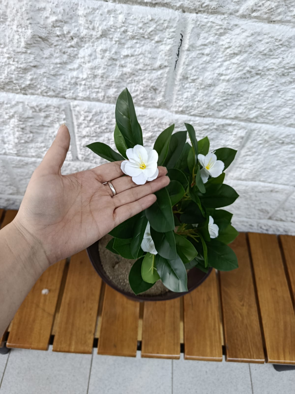 Planta Magnolia Blanca Artificial 55cm