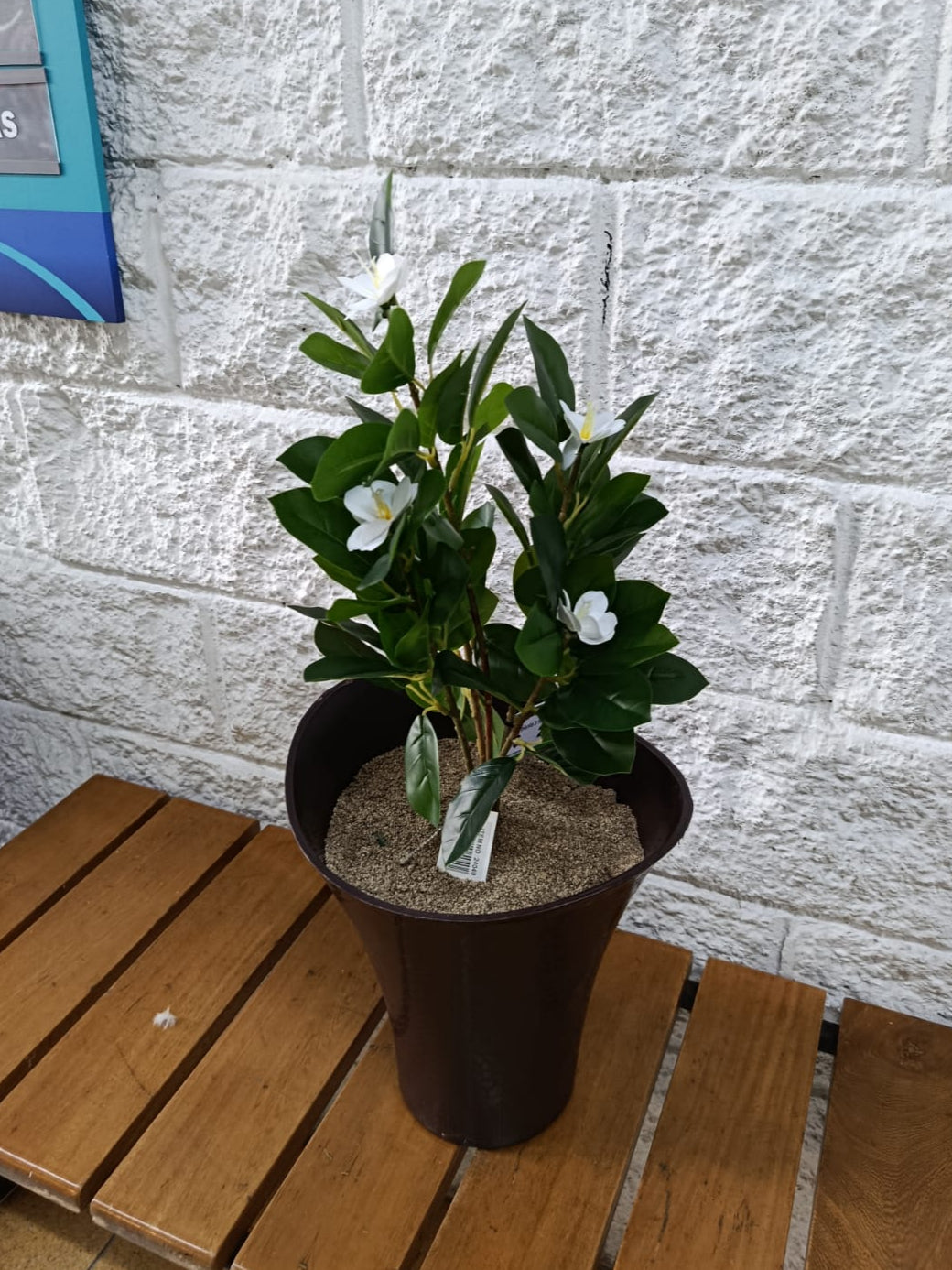 Planta Magnolia Blanca Artificial 55cm