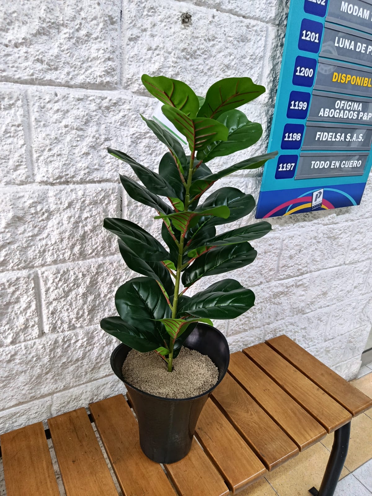 Planta Higuera Hoja de Violín Artificial 80cm