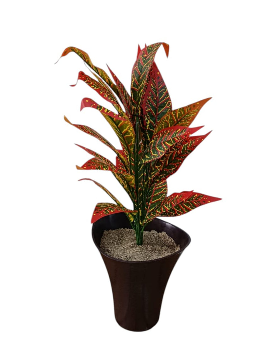 Planta Codiaeum Variegatum Artificial 70cm