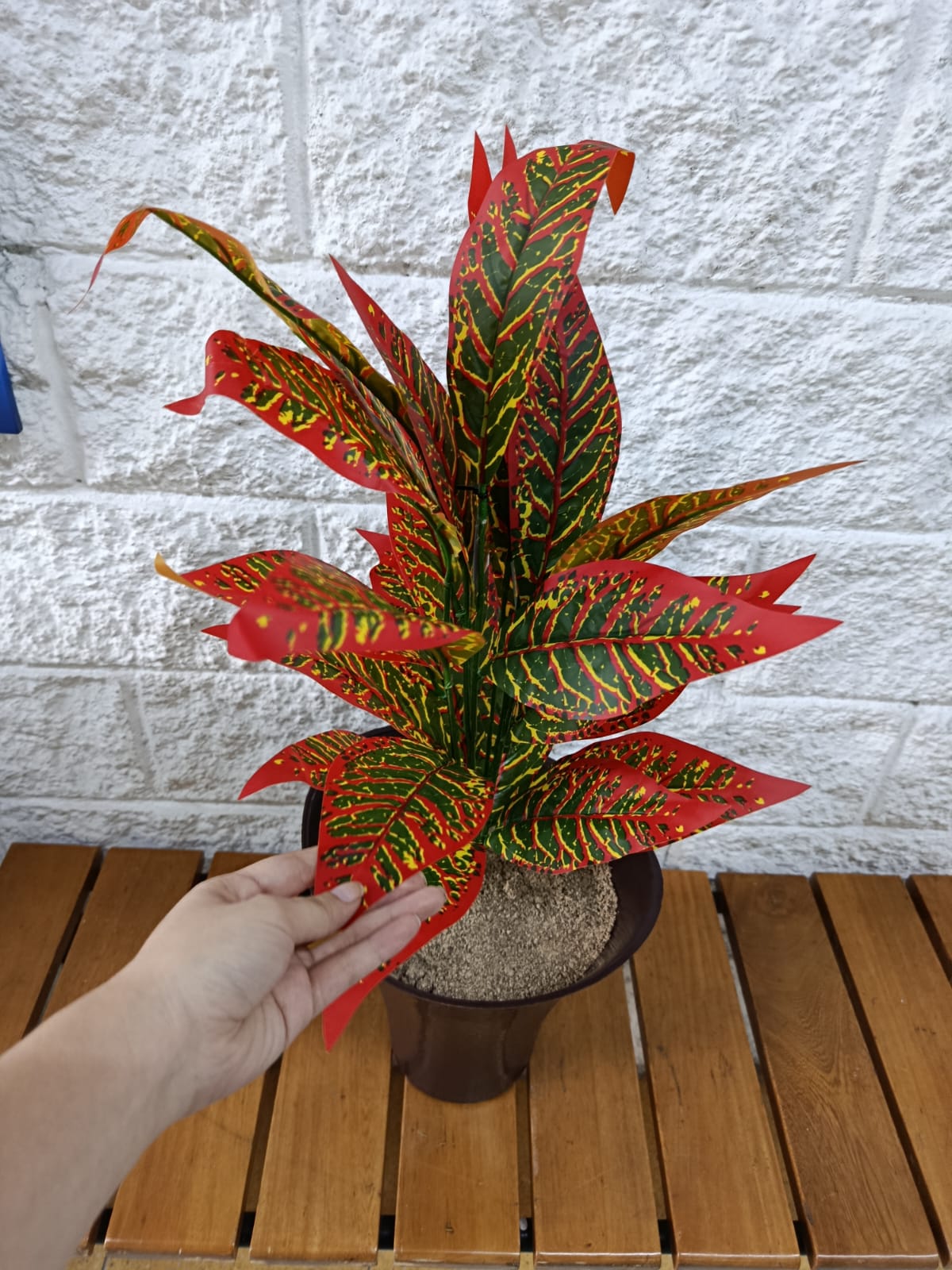 Planta Codiaeum Variegatum Artificial 70cm