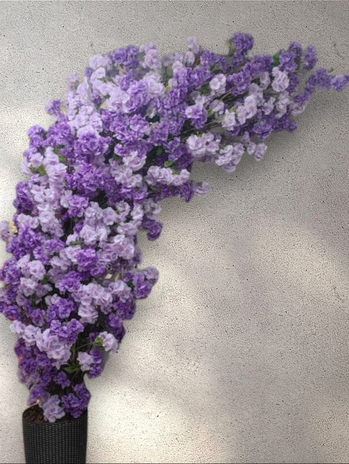 Rama de Cerezo Premium Lila 95cm