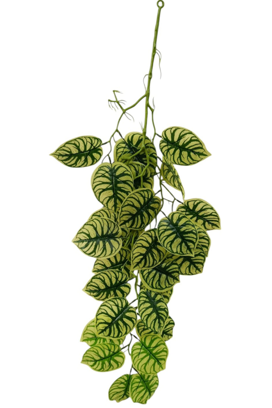 Rama Colgante Beteada Estilo Peperomia Melancia 90cm