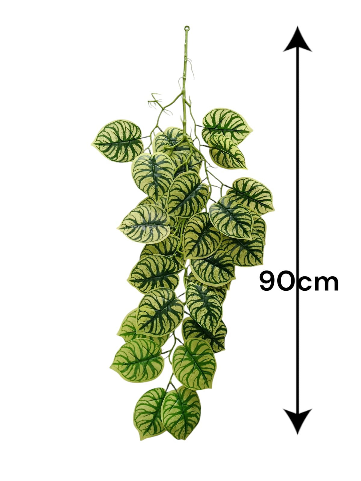 Rama Colgante Beteada Estilo Peperomia Melancia 90cm