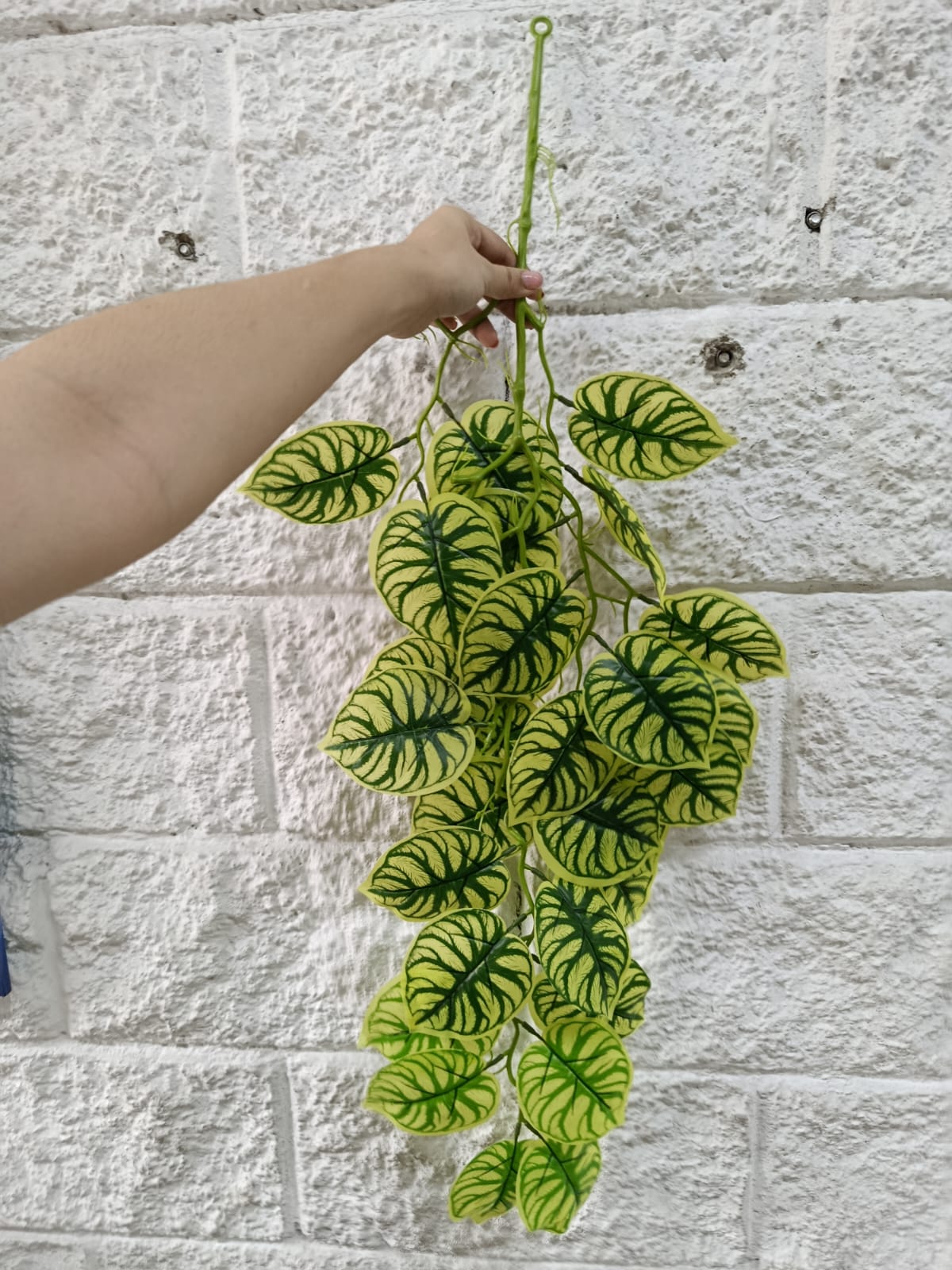 Rama Colgante Beteada Estilo Peperomia Melancia 90cm