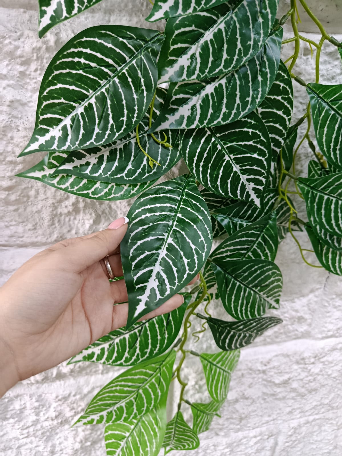 Rama Colgante Beteada Estilo Fittonia Albivenis 90cm