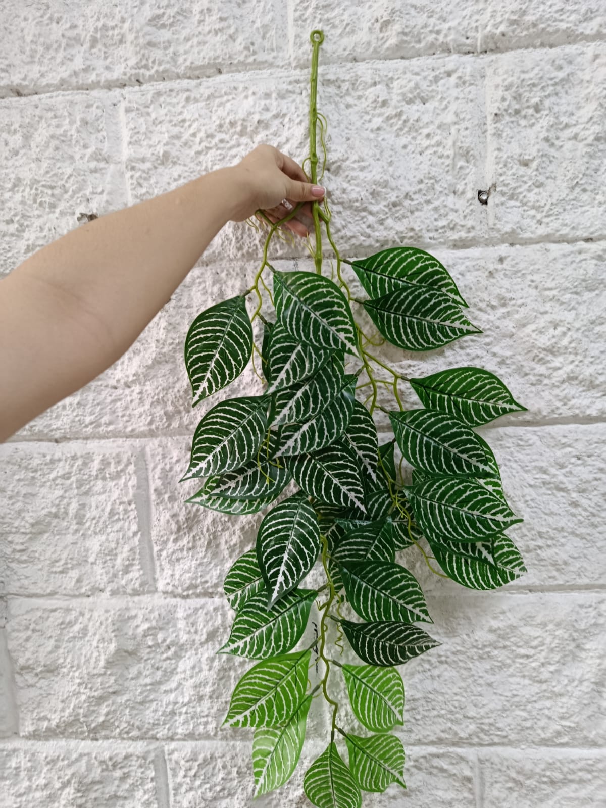 Rama Colgante Beteada Estilo Fittonia Albivenis 90cm