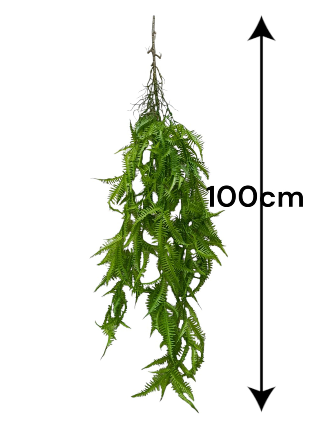 Colgante Helecho Premium 1mts