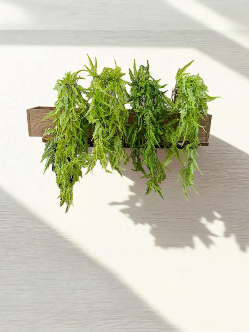 Colgante Helecho Premium 1mts