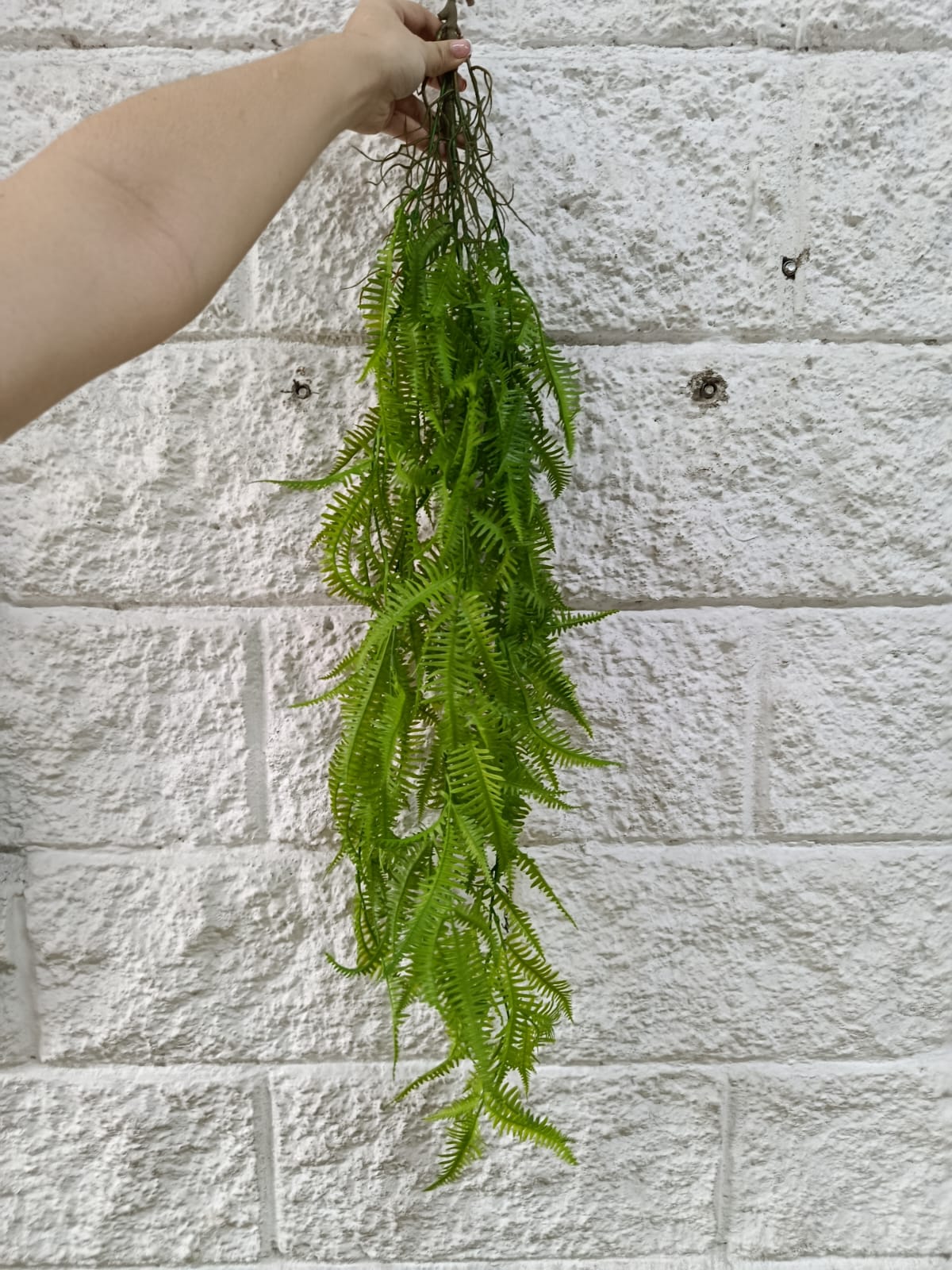 Colgante Helecho Premium 1mts