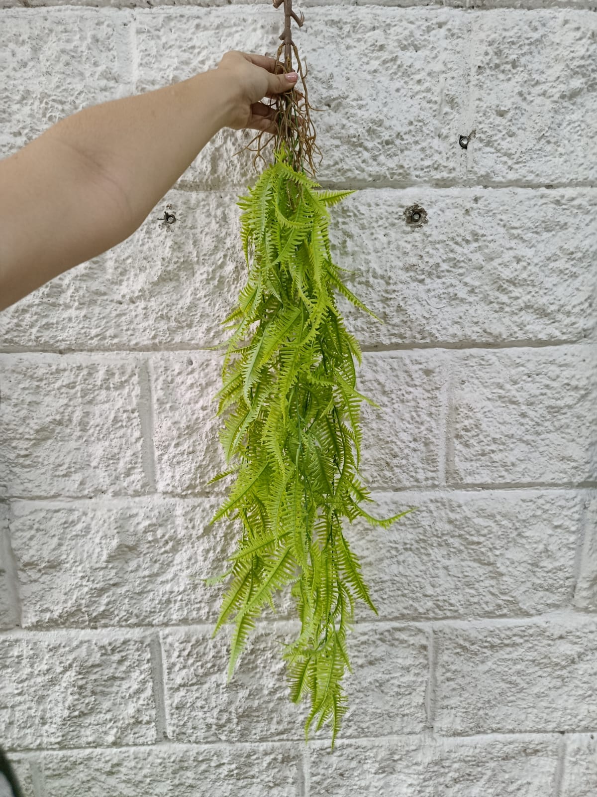 Colgante Helecho Premium 1mts